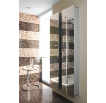 Badezimmer mit Mosaikfliesen und Spiegelschrank mit Dusche
