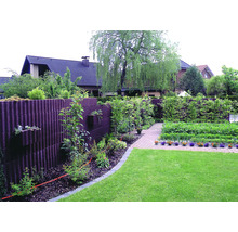 Garten mit Wellplattenzaun, Rasen und Pflanzen