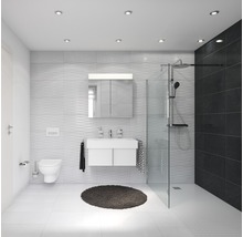 Helles Badezimmer mit Dusche, Waschbecken, Spiegelschrank und Toilette