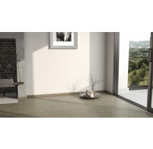 Heller Raum mit Grill, Dekoration und Blick ins Grüne