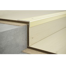 Treppenprofil auf Beton- und Holztreppe mit Korkunterlage