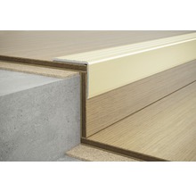 Detailansicht einer Treppe mit Stufenprofil und Laminat