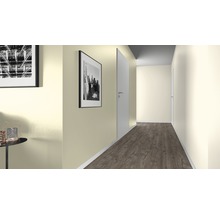 Flur mit Tür, Bildern und Laminatboden
