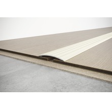 Übergangsprofil zwischen zwei Bodenbelägen