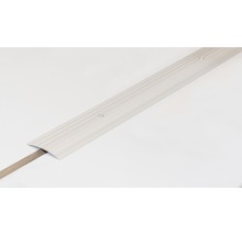 Übergangsprofil mit Schrauben