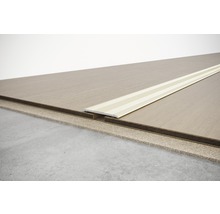 Bodenbelag mit Übergangsprofil