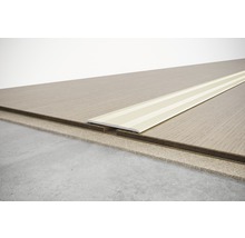 Profil für Bodenbeläge zum Ausgleichen von Höhenunterschieden