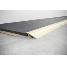 Bodenanschluss mit Fliesenschiene und Übergangsprofil