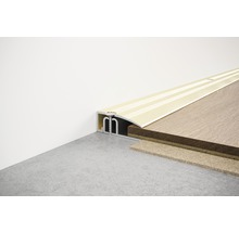 Bodenprofil zur Verbindung verschiedener Bodenbeläge.