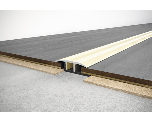 SKANDOR Übergangsprofil champagner eloxiert inkl. Clipschiene 11x34x900 mm