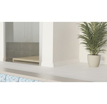 Detailansicht eines Badezimmers mit Dusche, weiß gefliestem Boden und einer Topfpflanze