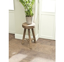 Dekorative Zimmerpflanze im Topf auf einem rustikalen Holzschemel auf Korkboden