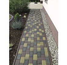 Gartenweg aus quadratischen Pflastersteinen