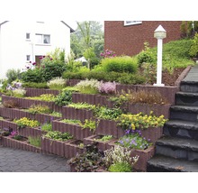 Terrassengarten mit Hangbefestigung und Treppe