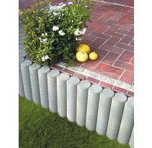 Gartenszene mit Rasenkante, Pflanzen und Kürbissen