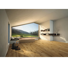 Heller Raum mit Holzboden, großem Fenster mit Blick auf eine grüne Landschaft, Regalen und minimalistischer Einrichtung