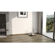 Heller Raum mit Holzboden, Kamin und Terrassentür