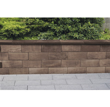 Eine niedrige Gartenmauer aus Betonsteinen mit Pflanzen dahinter.