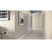 Flur mit Türen, Laminatboden und Wandfarbe