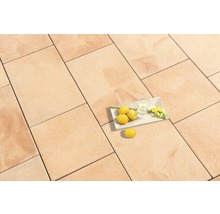 Terrassenplatten aus Stein mit Zitronen und Getränk auf einem Tablett