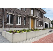 Hausfassade mit Betonmauer-Blumenkasten und Bepflanzung