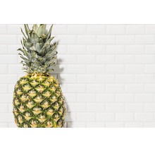 Ananasfrucht vor weisser Wand