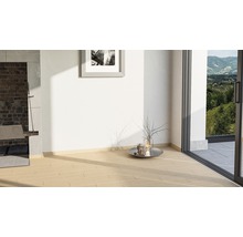 Heller Raum mit Holzboden, Grillplatz und Blick nach draußen