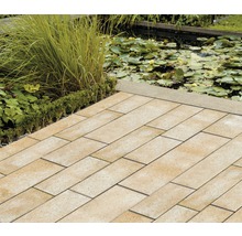 Verlegte rechteckige Pflastersteine im Garten mit Teich