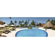 Außenbereich mit Pool, Liegestühlen und Palmen