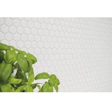 Wandfliesen im Sechseckformat auf einer hellen Wand