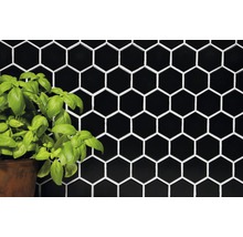 Schwarze Sechseckfliesen als Wandverkleidung mit Basilikumtopf