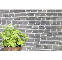 Wandfliesen in Steinoptik mit Basilikumpflanze