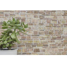 Dekorative Steinwand mit Topfpflanze im Innenbereich