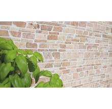 Wandgestaltung mit Steinoptik und Pflanze