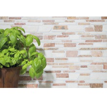 Wandgestaltung mit Steinverblendung und Basilikumpflanze im Topf