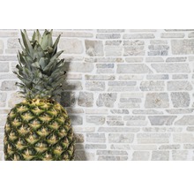 Dekor Wand mit Natursteinverblendern und Ananas