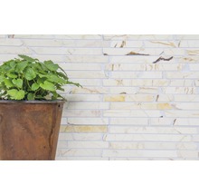 Pflanze in einem Topf vor einer Wand aus Ziegelsteinen