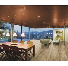 Heller Raum mit Esstisch, Sitzgruppe und grossen Fensterfronten