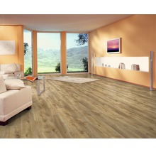 Wohnzimmer mit Laminatboden, Sofa und Fensterfront