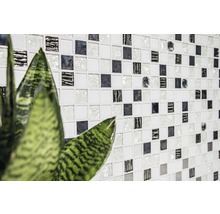 Wandfliese mit Mosaikmuster und Zimmerpflanze