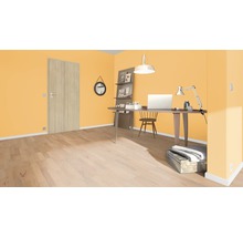 Ein Arbeitszimmer mit einem Schreibtisch, einem Stuhl, einem Regal und einer Tür.