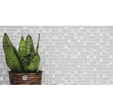 Zimmerpflanze in geflochtenem Topf vor Mosaikhintergrund