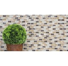 Dekorative Wand mit Mosaikfliesen und Topfpflanze