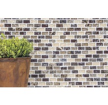 Mosaikfliesenwand mit Pflanze im Topf