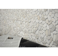 Wandgestaltung mit Flusskiesel-Mosaikfliesen