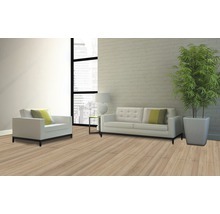 Heller Wohnraum mit Laminatboden, Sofa und Sessel