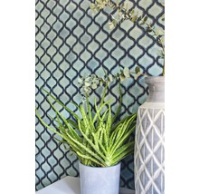 Dekorative Wand mit floralen Elementen und Pflanze im Topf