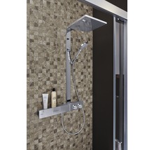 Duschsystem mit Kopf- und Handbrause sowie Ablage im Badezimmer