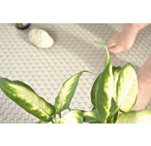 Szene eines Badezimmers mit Topfpflanze und runden Fliesen