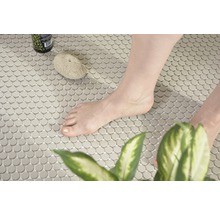 Fliesenboden mit Mosaikmuster, Bimsstein, Hautpflegeprodukt und Pflanze